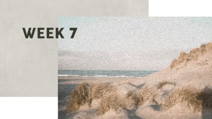 Link to the Be Free: Week 7